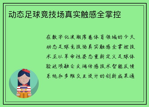 动态足球竞技场真实触感全掌控